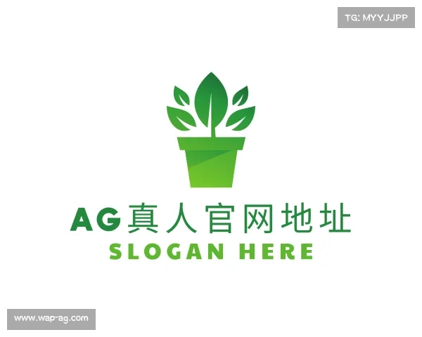 发现AG真人官网地址